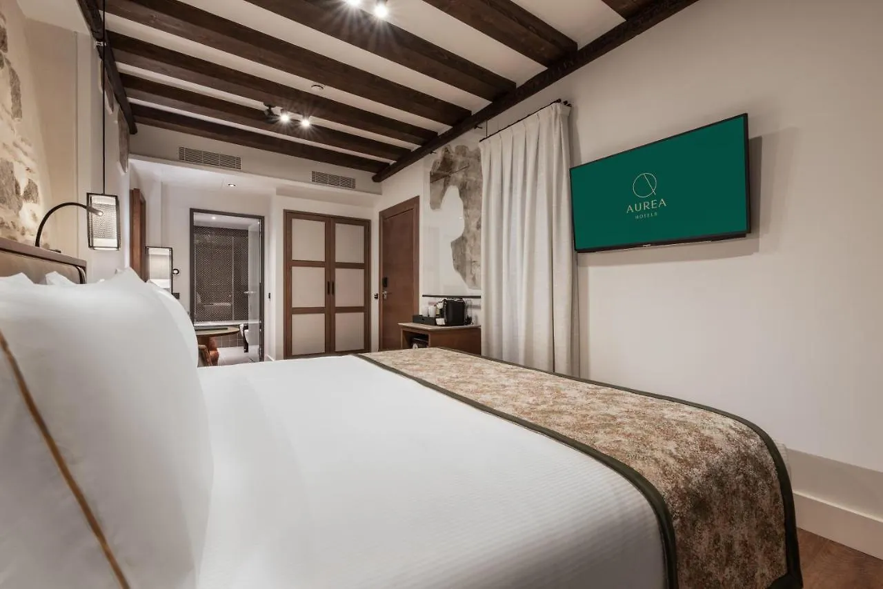 Aurea Toledo By Eurostars Hotel Company